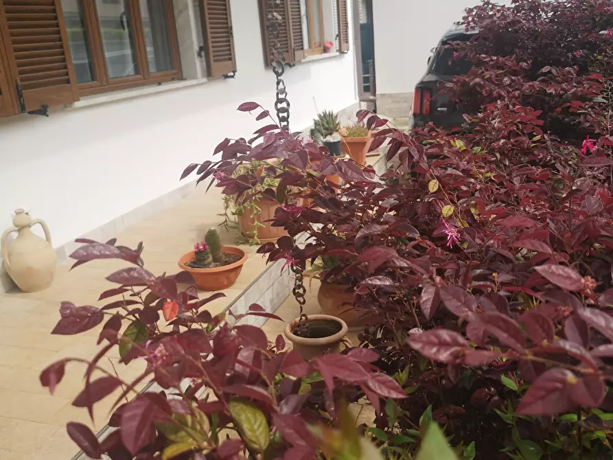 Immagine 30 di Villa in vendita  a Massa