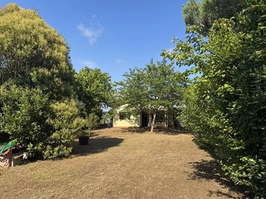 Immagine 34 di Villa in vendita  a Viareggio