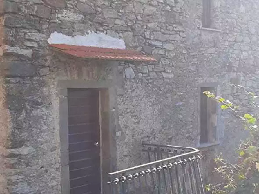 Immagine 29 di Terratetto in vendita  a Ortonovo