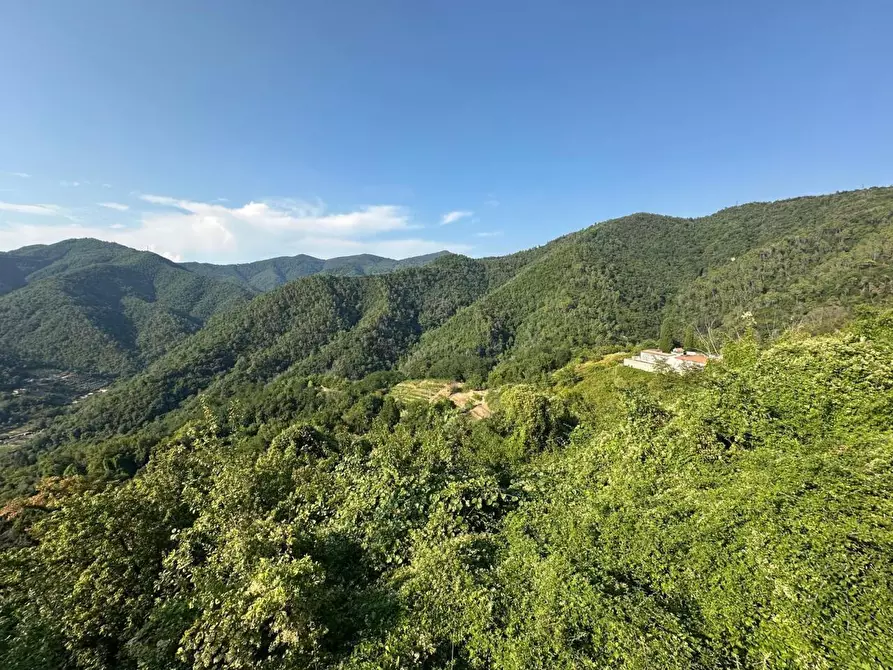 Immagine 21 di Terratetto in vendita  a Ortonovo