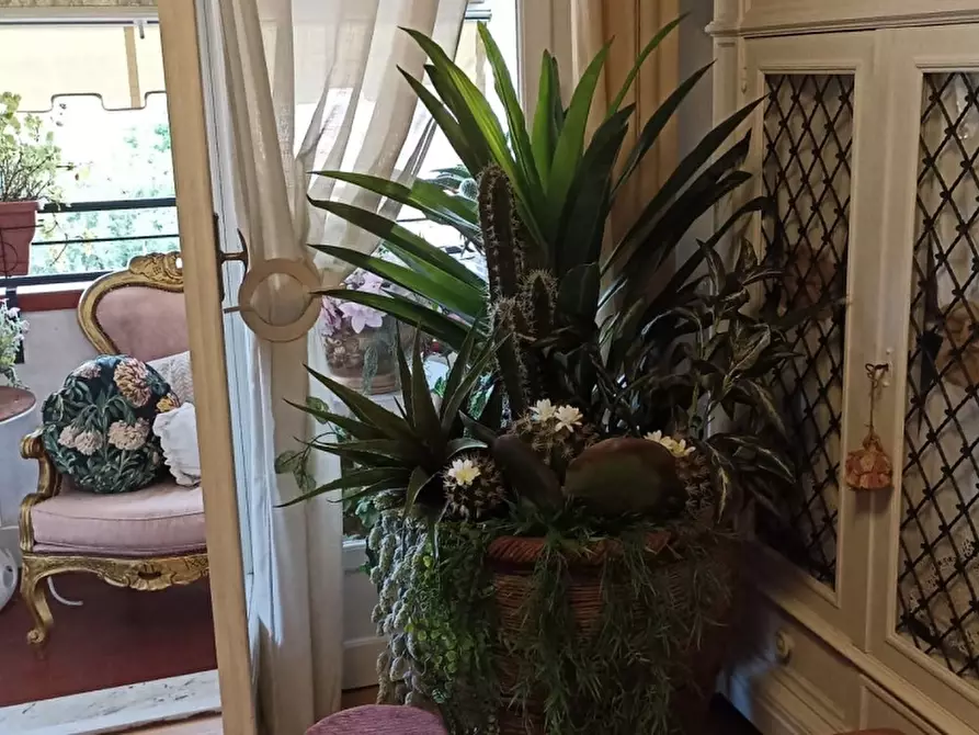 Immagine 20 di Appartamento in vendita  a Carrara