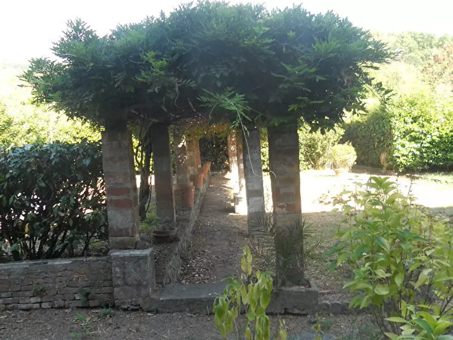 Immagine 70 di Casa colonica in vendita  a Castelnuovo Magra