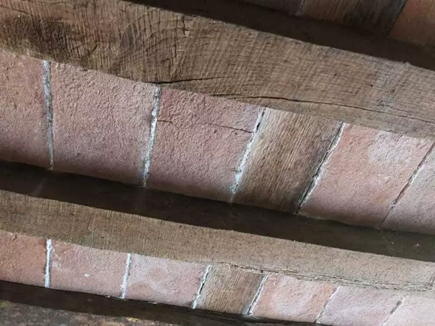 Immagine 22 di Terratetto in vendita  a Castelnuovo Magra