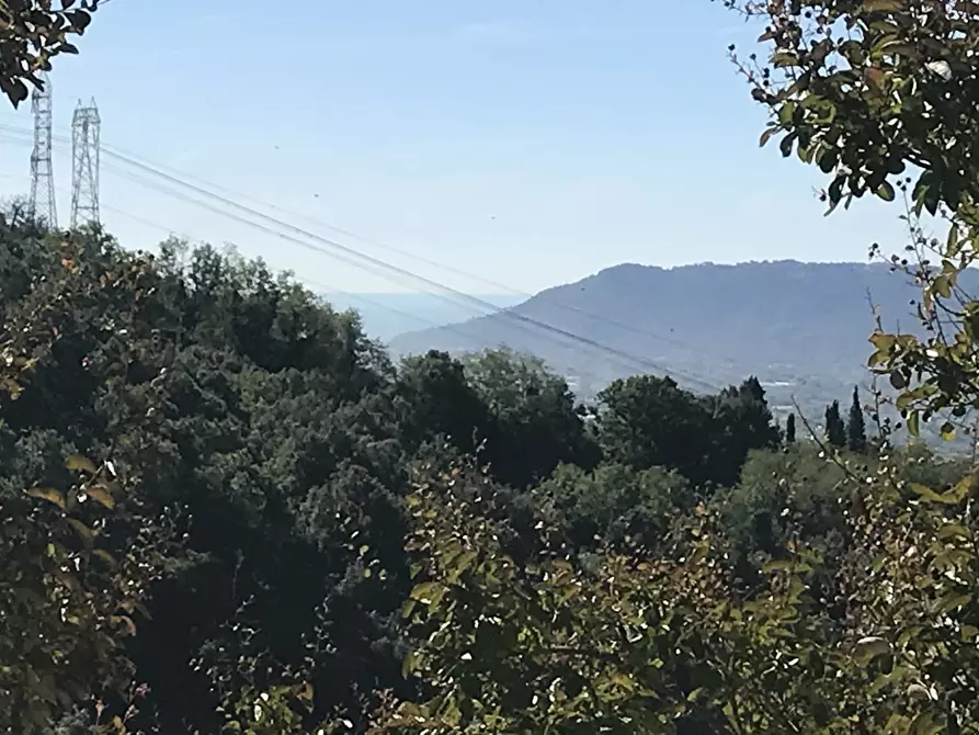 Immagine 7 di Villa in vendita  a Sarzana