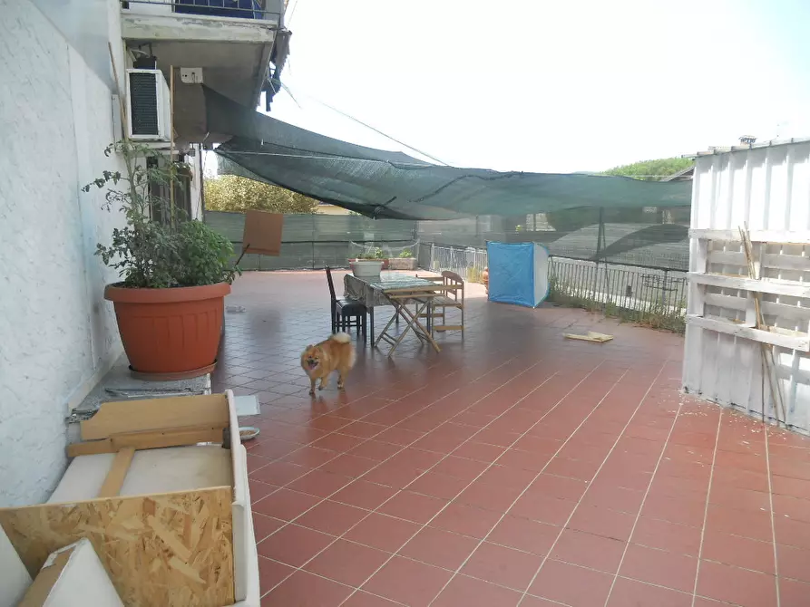 Immagine 22 di Appartamento in vendita  a Castelnuovo Magra