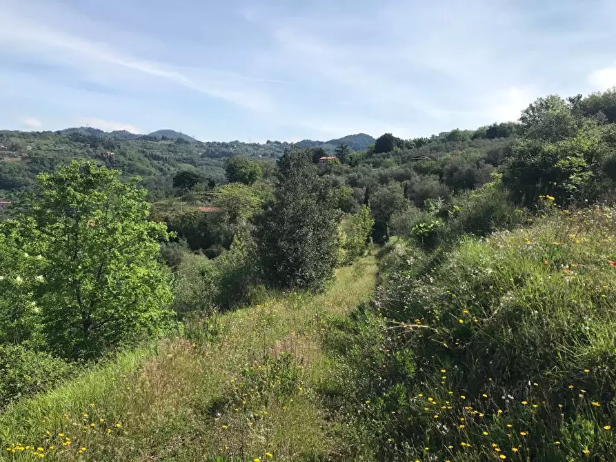 Immagine 19 di Casa indipendente in vendita  a Fosdinovo