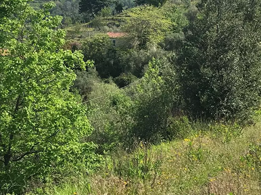 Immagine 21 di Casa indipendente in vendita  a Fosdinovo