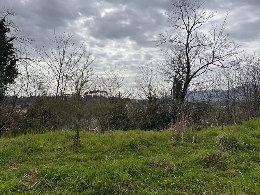 Immagine 23 di Villa in vendita  a Sarzana