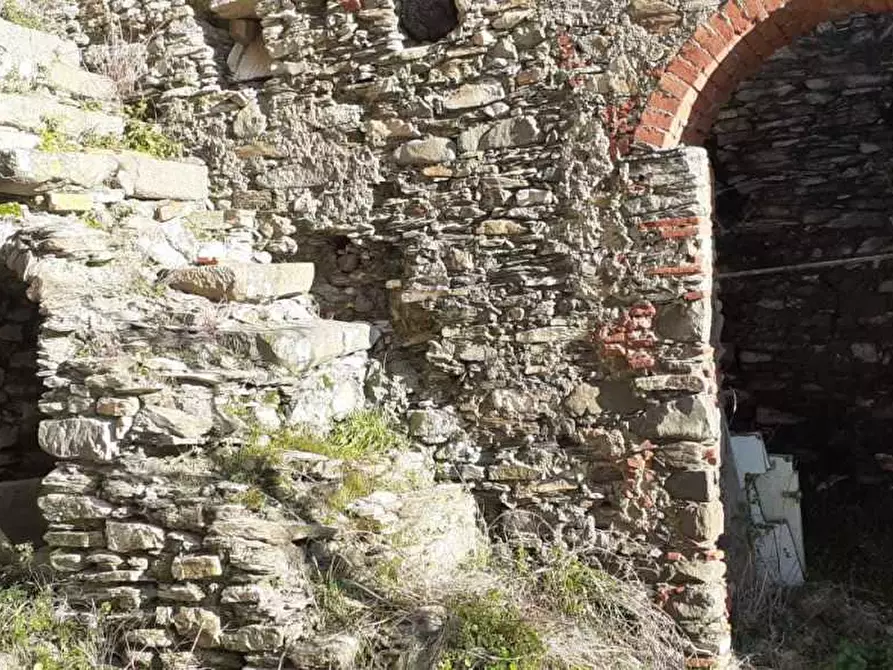 Immagine 27 di Terratetto in vendita  a Ortonovo