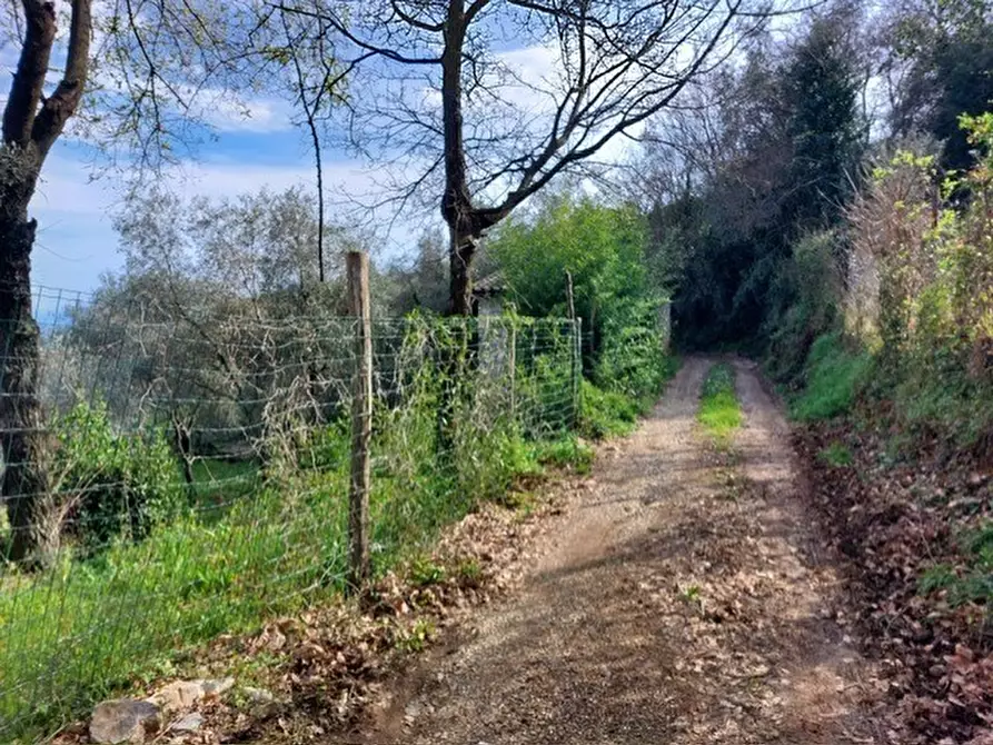 Immagine 11 di Rustico / casale in vendita  a Ameglia