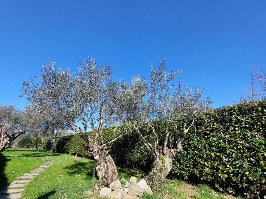 Immagine 58 di Terratetto in vendita  a Castelnuovo Magra