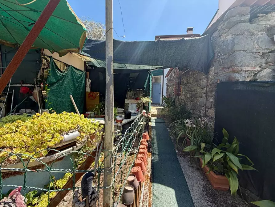 Immagine 36 di Terratetto in vendita  a Ortonovo