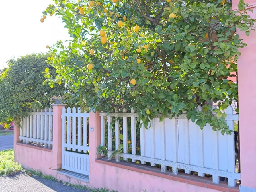 Immagine 32 di Appartamento in vendita  a Castelnuovo Magra