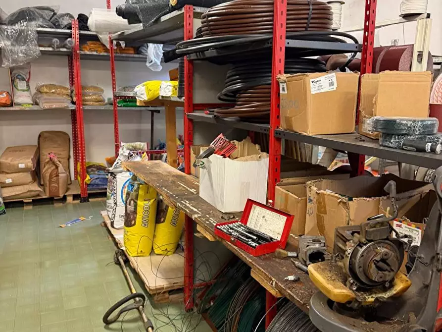 Immagine 7 di Capannone industriale in vendita  a Castelnuovo Magra