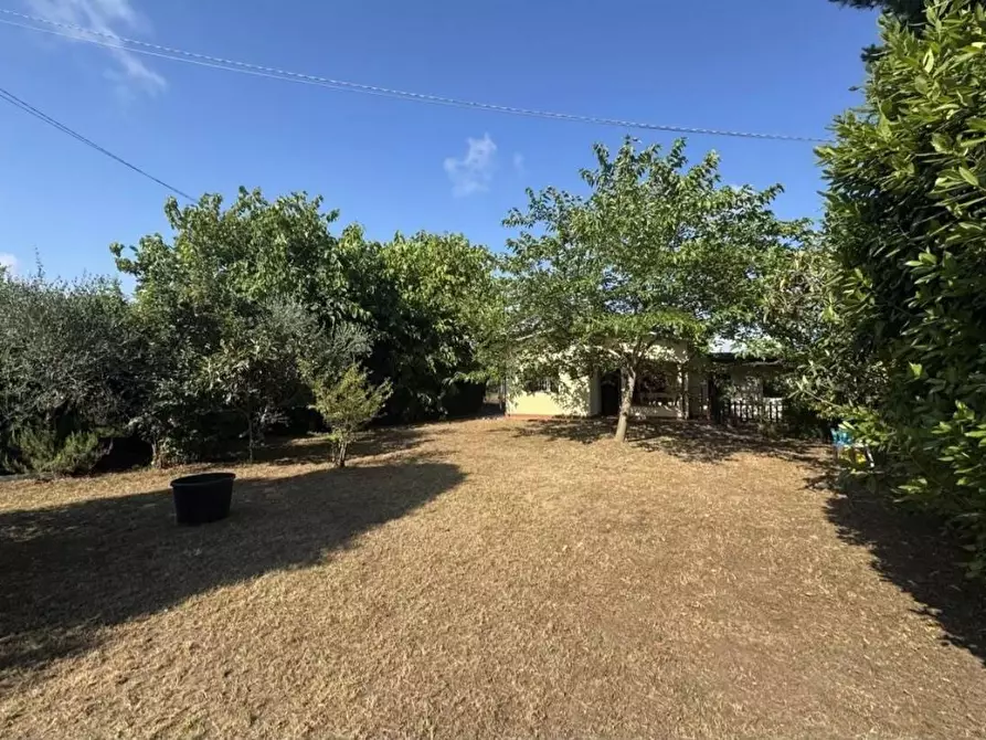 Immagine 41 di Villa in vendita  a Viareggio
