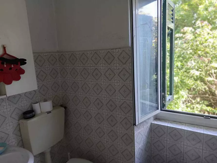 Immagine 26 di Casa indipendente in vendita  a Arcola