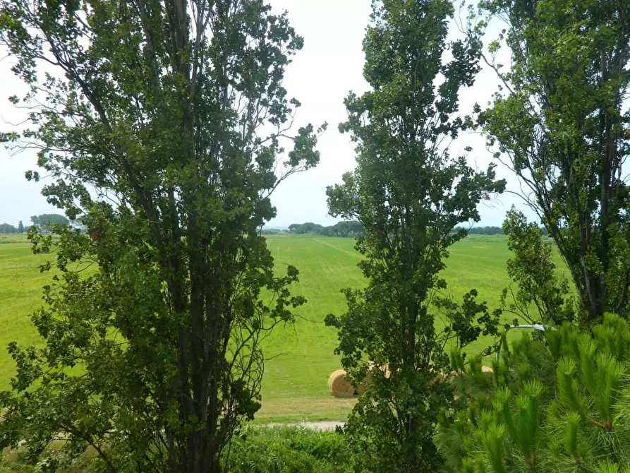 Immagine 28 di Appartamento in vendita  a Ortonovo