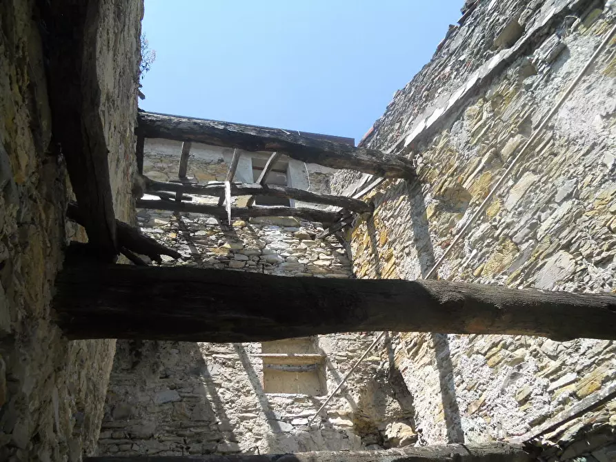 Immagine 14 di Terratetto in vendita  a Ortonovo