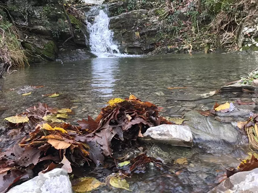 Immagine 10 di Casa indipendente in vendita  a Albareto