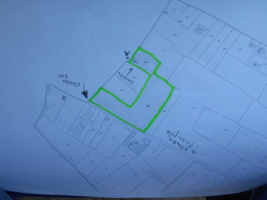 Immagine 4 di Terreno agricolo in vendita  a Sarzana