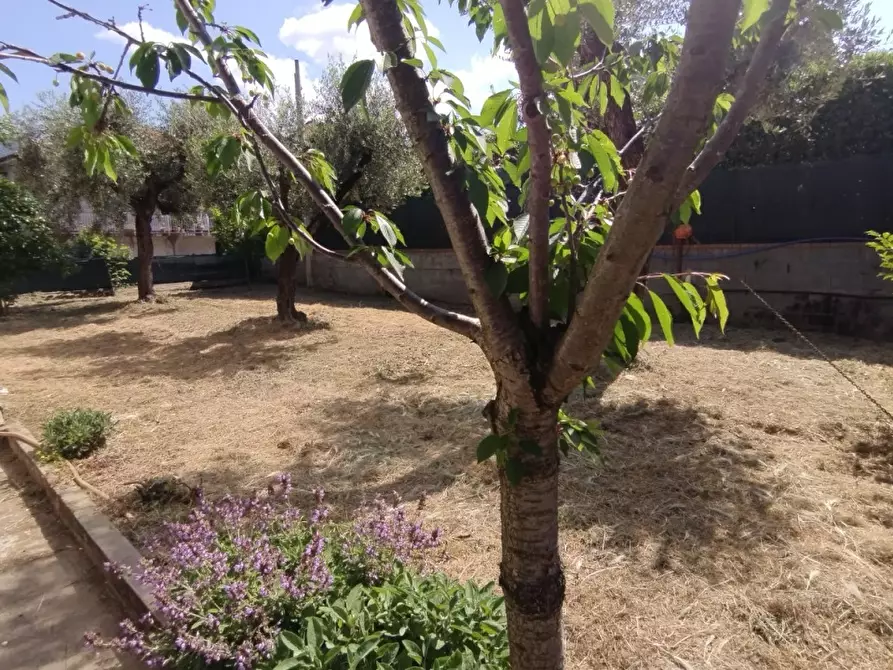 Immagine 7 di Casa indipendente in vendita  a Castelnuovo Magra
