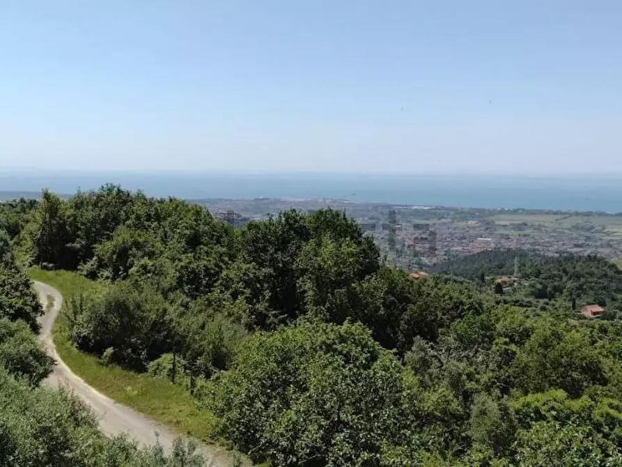 Immagine 23 di Casa trifamiliare in vendita  a Castelnuovo Magra