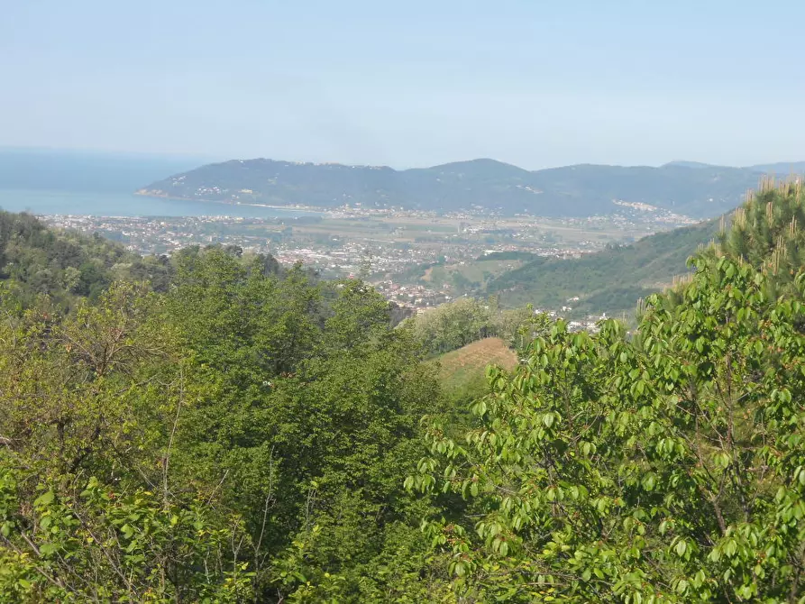 Immagine 4 di Terratetto in vendita  a Castelnuovo Magra