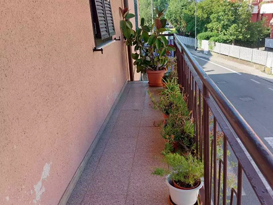 Immagine 17 di Terratetto in vendita  a Ameglia