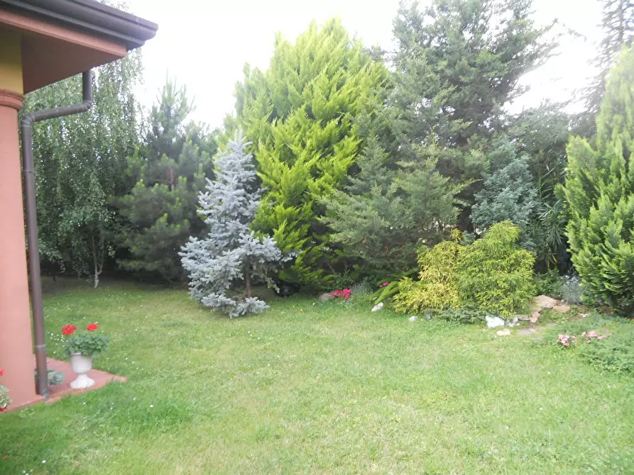 Immagine 4 di Terratetto in vendita  a Ortonovo