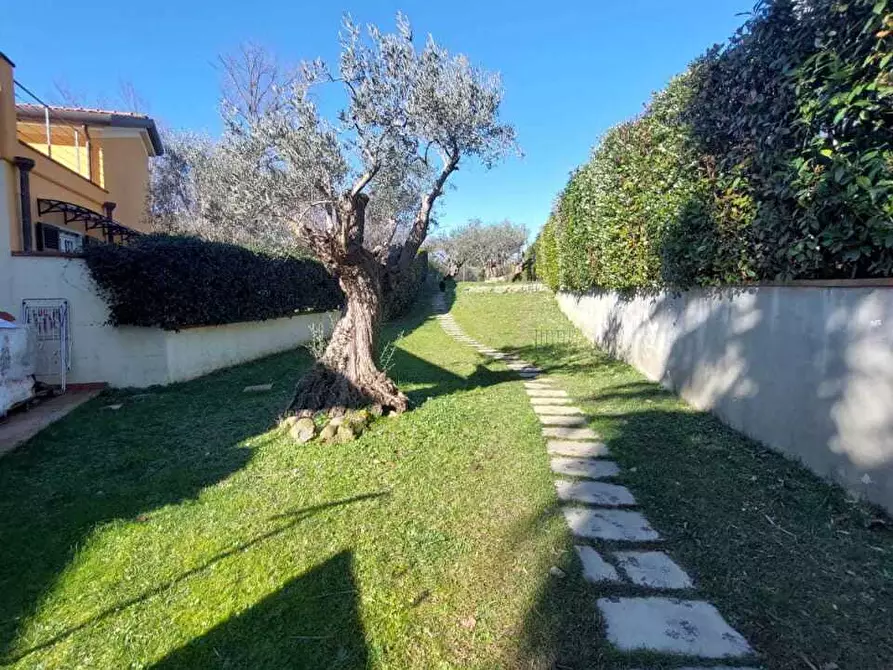 Immagine 53 di Terratetto in vendita  a Castelnuovo Magra