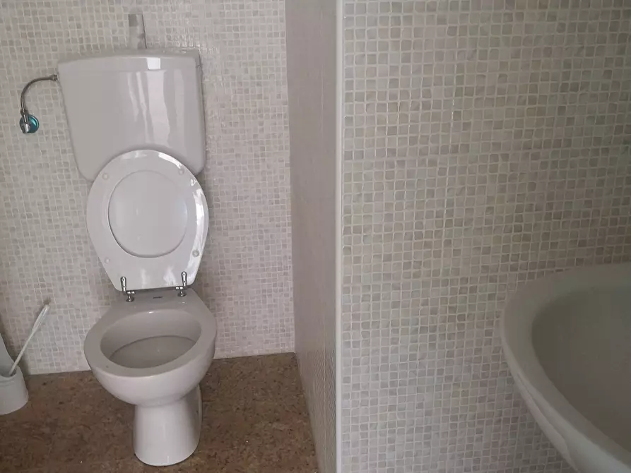 Immagine 7 di Capannone industriale in vendita  a Massa