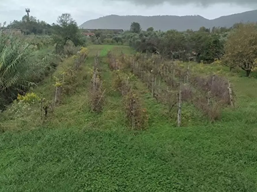 Immagine 17 di Terratetto in vendita  a Castelnuovo Magra