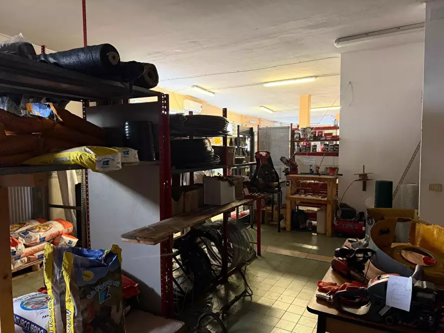 Immagine 4 di Capannone industriale in vendita  a Castelnuovo Magra