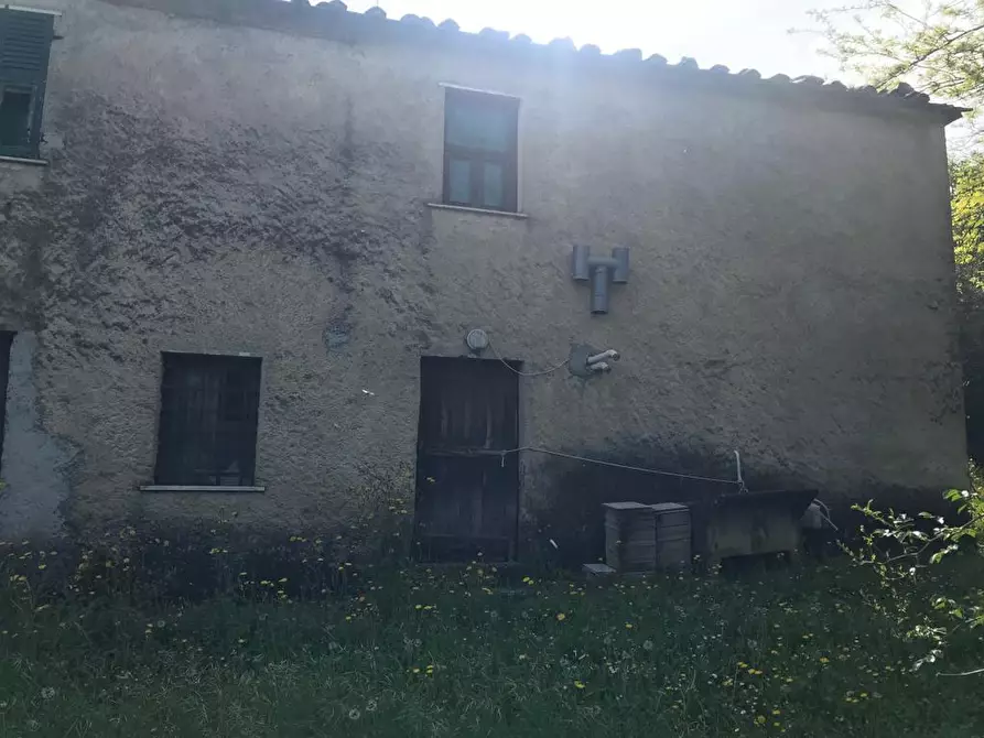 Immagine 15 di Casa indipendente in vendita  a Fosdinovo