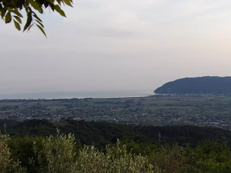 Immagine 6 di Terratetto in vendita  a Castelnuovo Magra