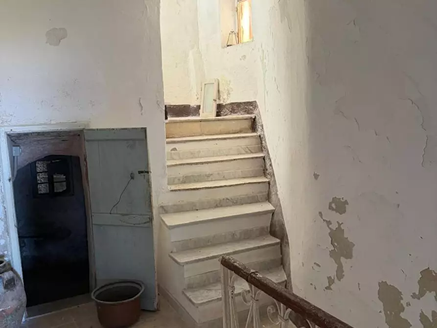 Immagine 15 di Terratetto in vendita  a Ortonovo