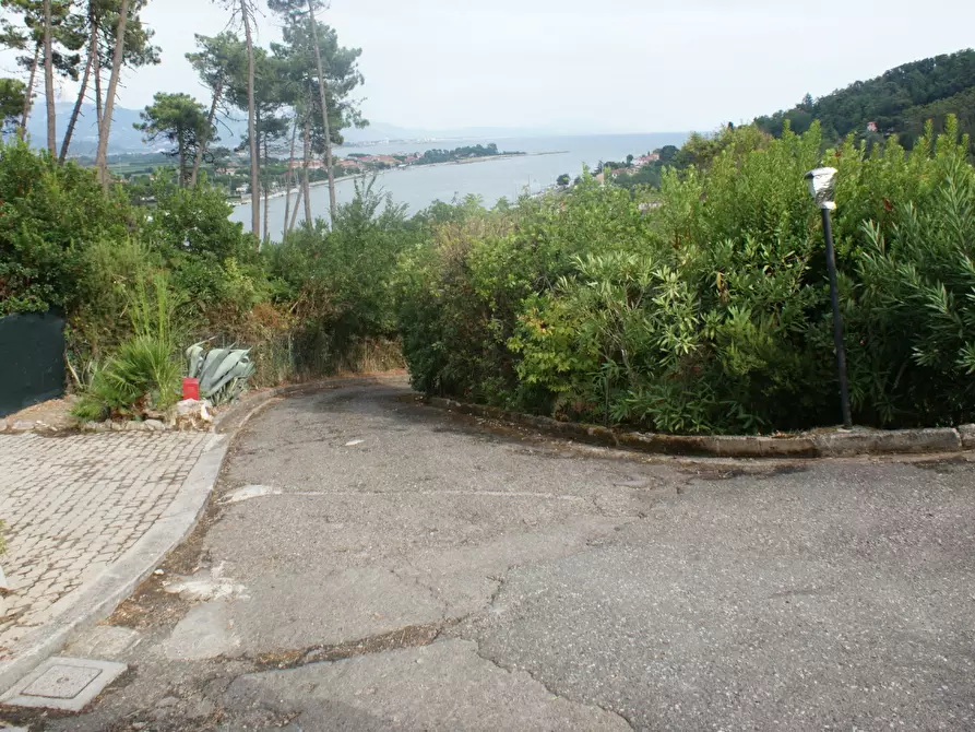 Immagine 43 di Terratetto in vendita  a Ameglia