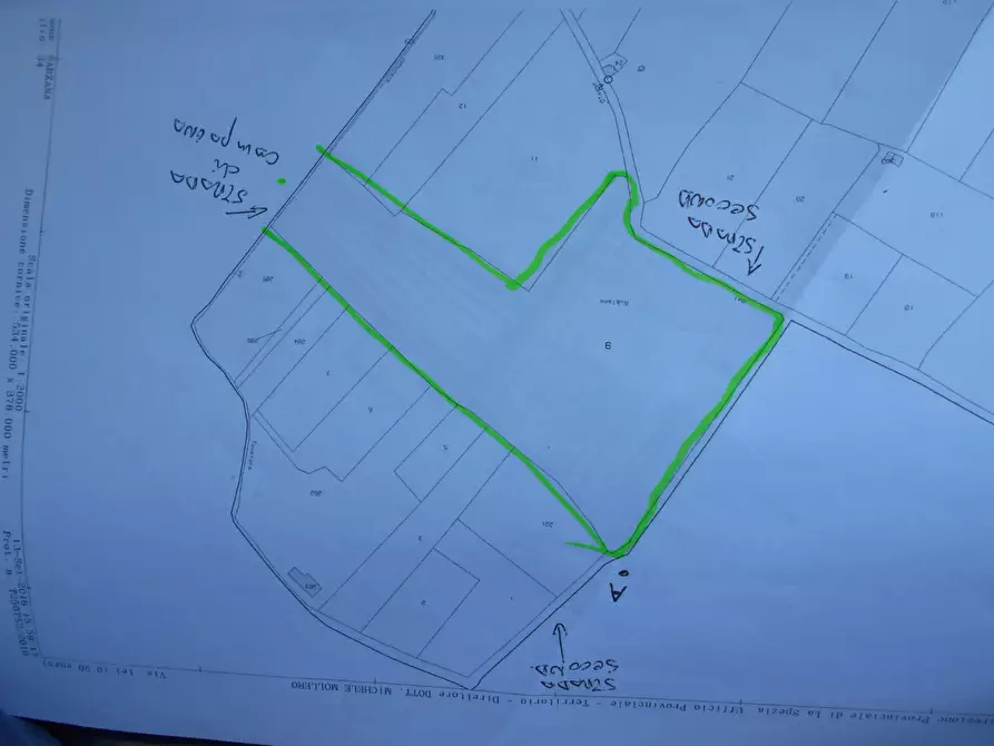 Immagine 3 di Terreno agricolo in vendita  a Sarzana