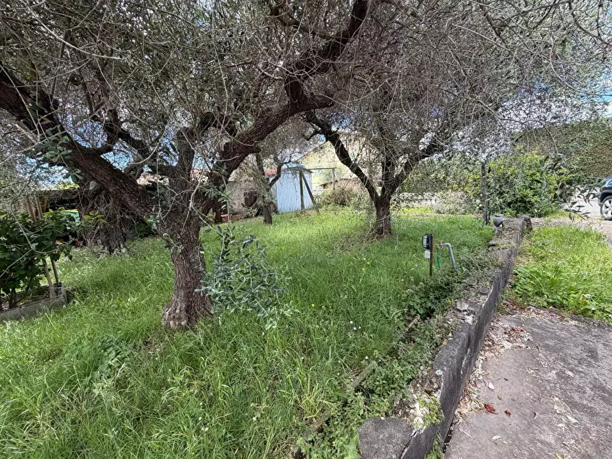 Immagine 13 di Terratetto in vendita  a Ortonovo