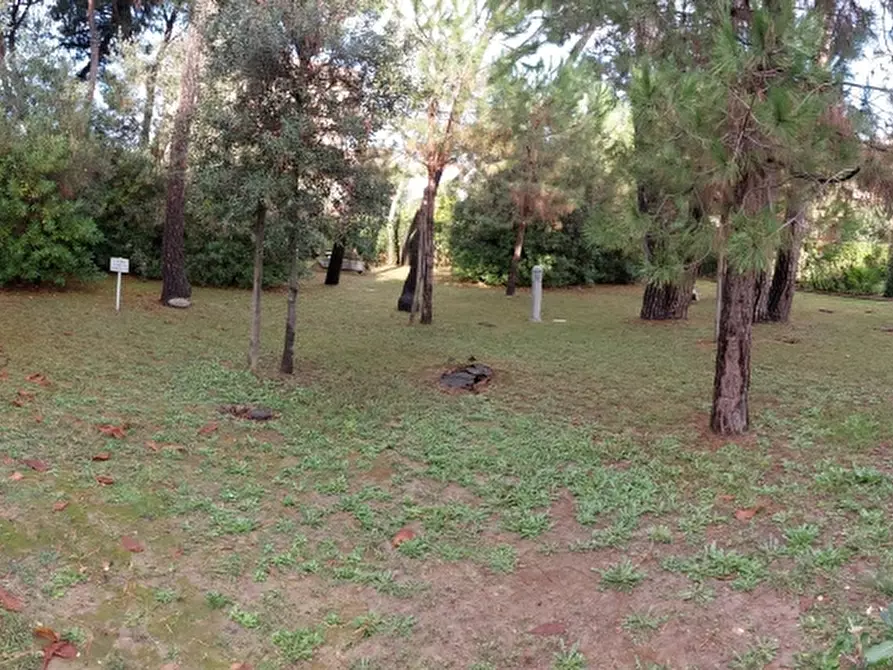 Immagine 41 di Terratetto in vendita  a Massa