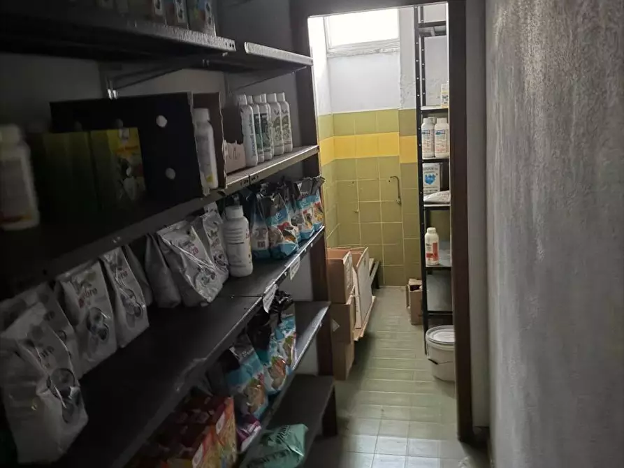 Immagine 10 di Capannone industriale in vendita  a Castelnuovo Magra