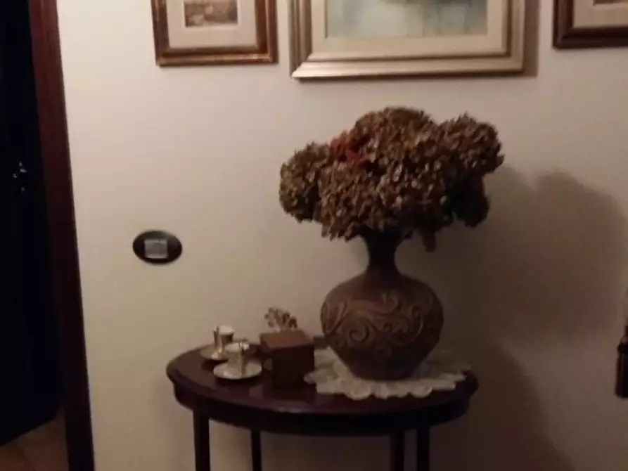 Immagine 56 di Casa indipendente in vendita  a Ortonovo