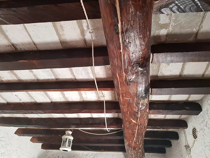 Immagine 25 di Casa indipendente in vendita  a Carrara