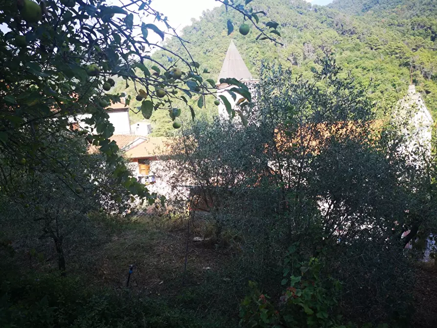 Immagine 6 di Rustico / casale in vendita  a Ortonovo