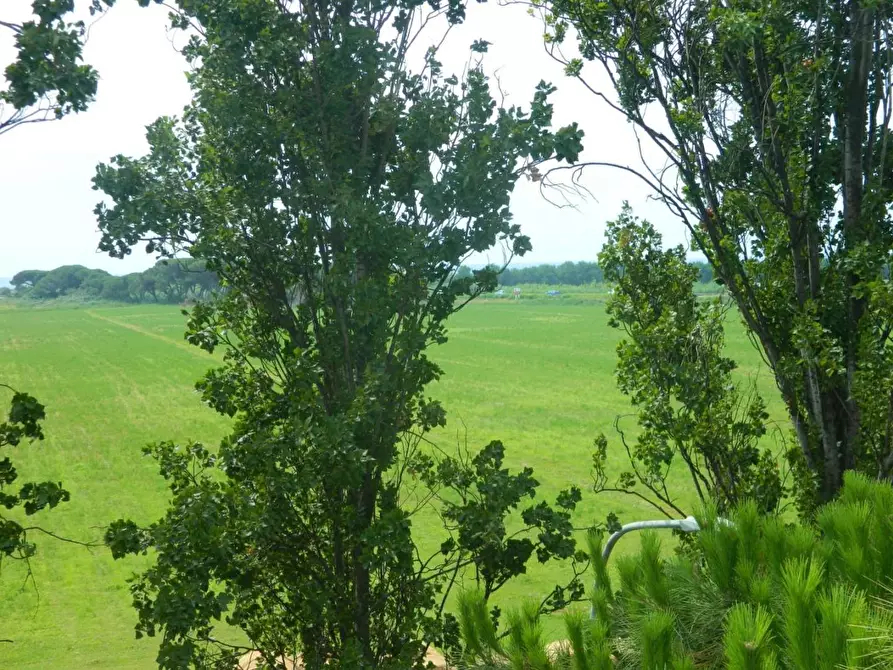 Immagine 39 di Appartamento in vendita  a Ortonovo