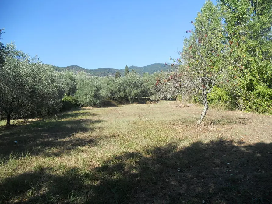 Immagine 82 di Casa colonica in vendita  a Castelnuovo Magra
