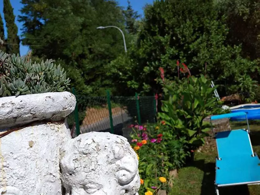 Immagine 29 di Terratetto in vendita  a Sarzana