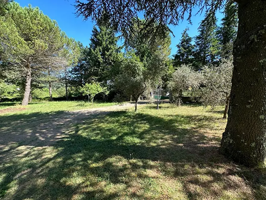 Immagine 33 di Casa indipendente in vendita  a Fosdinovo