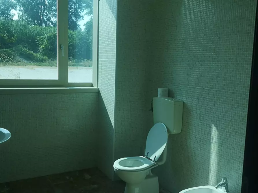 Immagine 5 di Capannone industriale in vendita  a Massa