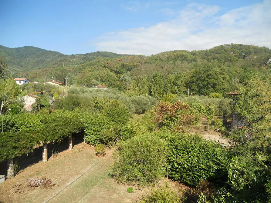 Immagine 57 di Casa colonica in vendita  a Castelnuovo Magra